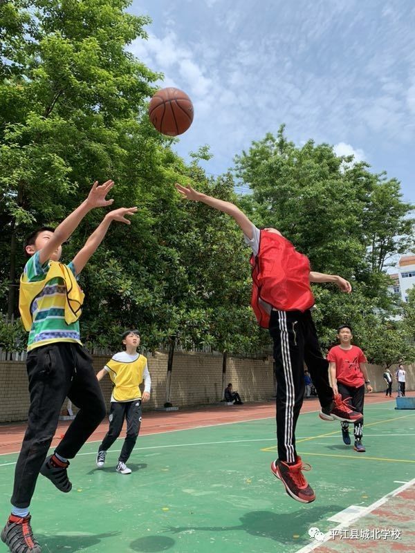 美洲篮球锦标赛再开激战，球队各展身手的简单介绍